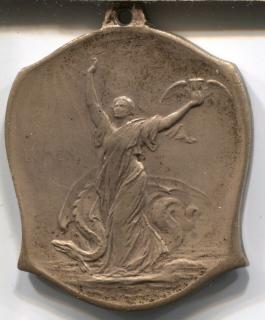 Int. Congress of TB Medal, Washington 1908 